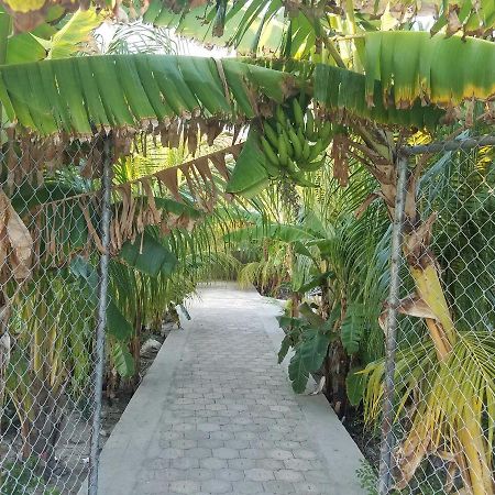 Auberge Pont-Gaudin Gonaives Exterior foto