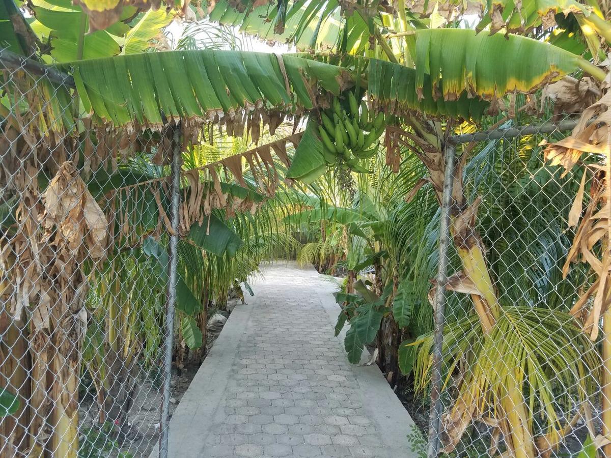 Auberge Pont-Gaudin Gonaives Exterior foto